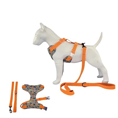 Упряжь для собак-динозавров