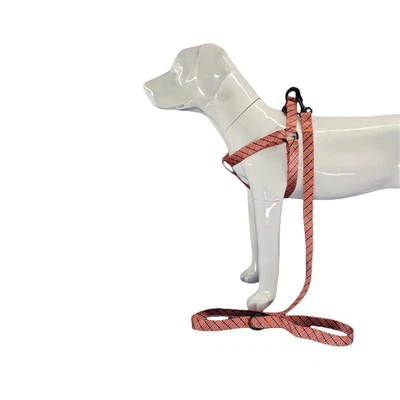 Геометрическая шлейка для собак